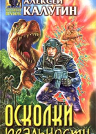 Калугин А Осколки реальности