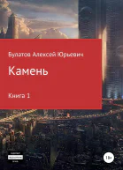 Камень книга 1