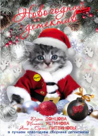 Капкан для королевы