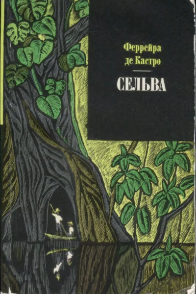 Кастро Феррейра де Сельва