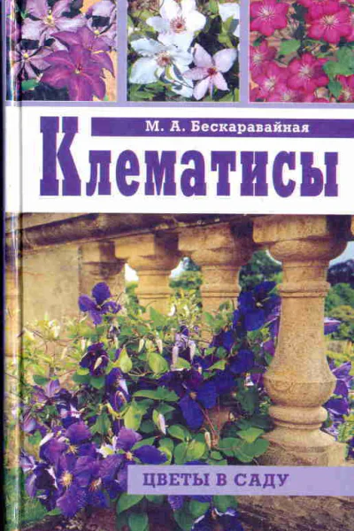 Клематисы