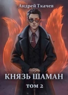 Князь шаман Том 2