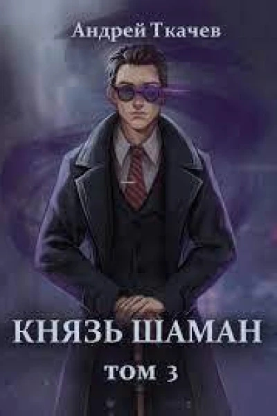 Князь шаман Том 3 СИ