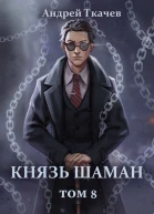 Князь шаман Том 8 СИ