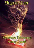 Книга Судеб СИ