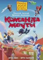 Команда мечты Е Гаглоев Е Полянина