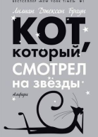 Кот который смотрел на звезды