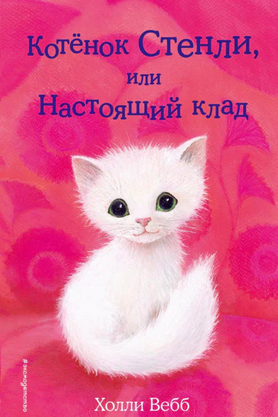 Котёнок Стенли или Настоящий клад