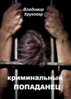 Криминальный попаданец