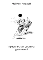 Кровеносная система уравнений