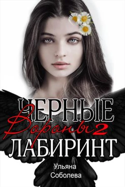 Лабиринт Черные вороны Книга 2