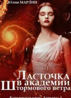 Ласточка в Академии Штормового ветра СИ