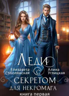 Леди с секретом для некромага Книга 1