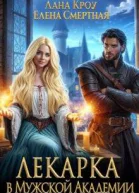 Лекарка в Мужской Академии