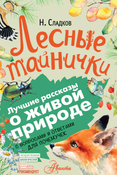 Лесные тайнички С вопросами и ответами для почемучек