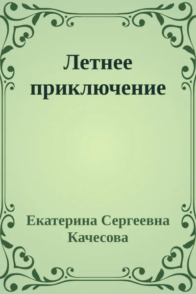 Летнее приключение
