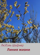 Линия жизни СИ
