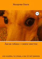 Лысая собака с синим хвостом или Хозяйка ты спишь а мы тут всё уронили