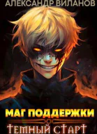Маг поддержки темный старт 2 СИ