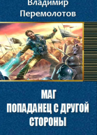 Маг Попаданец с другой стороны
