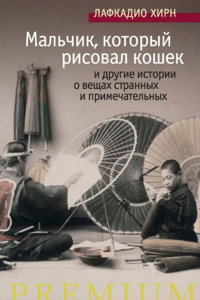 Мальчик который рисовал кошек и другие истории о вещах странных и примечательных