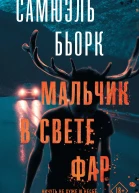 Мальчик в свете фар