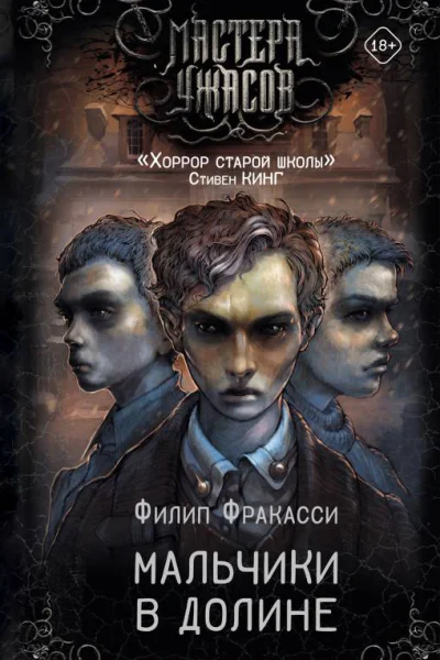 Мальчики в долине