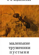 Маленькие труженики пустыни