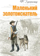 Маленький золотоискатель
