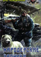 Мародерские хроники