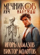 Мечников Луч надежды СИ