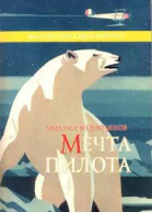 Мечта пилота