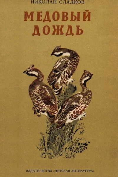 Медовый дождь