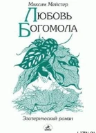 Мейстер М Любовь Богомола роман