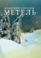 Метель  Владимир Сорокин