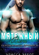 Мятежный Вэш ЛП
