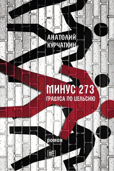 Минус 273 градуса по Цельсию Роман