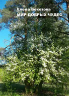 Мир добрых чудес
