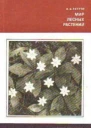 Мир лесных растений