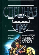Михаил Нестеров Черный беркут