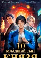 Младший сын князя Том 10 СИ