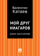 Мой друг Ниагаров цикл рассказов