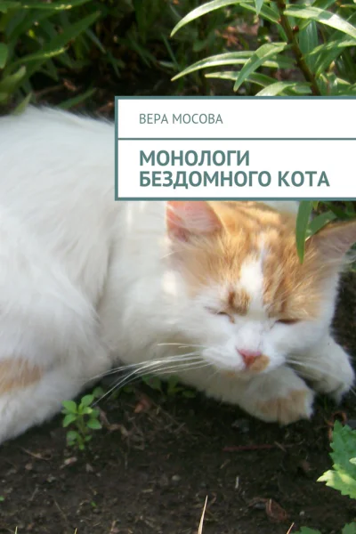 Монологи бездомного кота