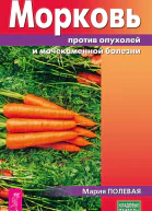 Морковь против опухолей и мочекаменной болезни