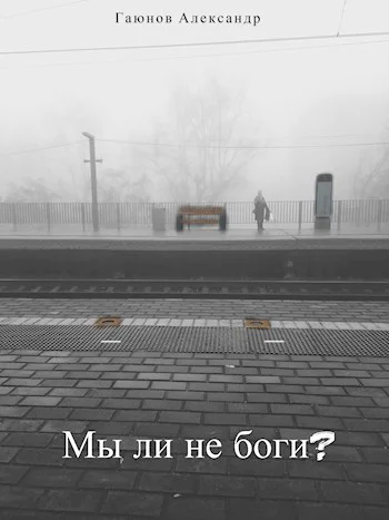 Мы ли не боги СИ