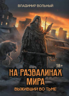 На развалинах мира Выживший во тьме  Владимир Вольный