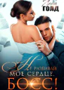 Не разбивай мое сердце босс СИ