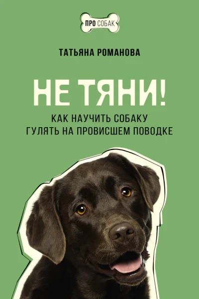 Не тяни Как научить собаку гулять на провисшем поводке