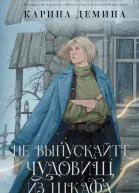Не выпускайте чудовищ из шкафа  Карина Демина