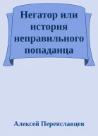 Негатор или история неправильного попаданца